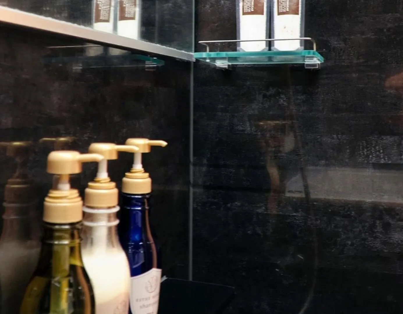 Roppongi 4 Minutes, 4 Person Mansion,Dyson Hair Dryer, Pola Toiletries Apartment Tokyo 0*,